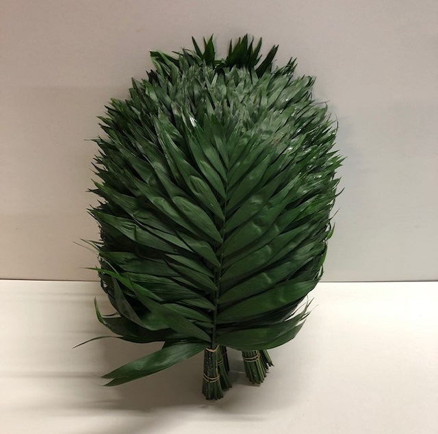 Leaf chico jumbo.jpg